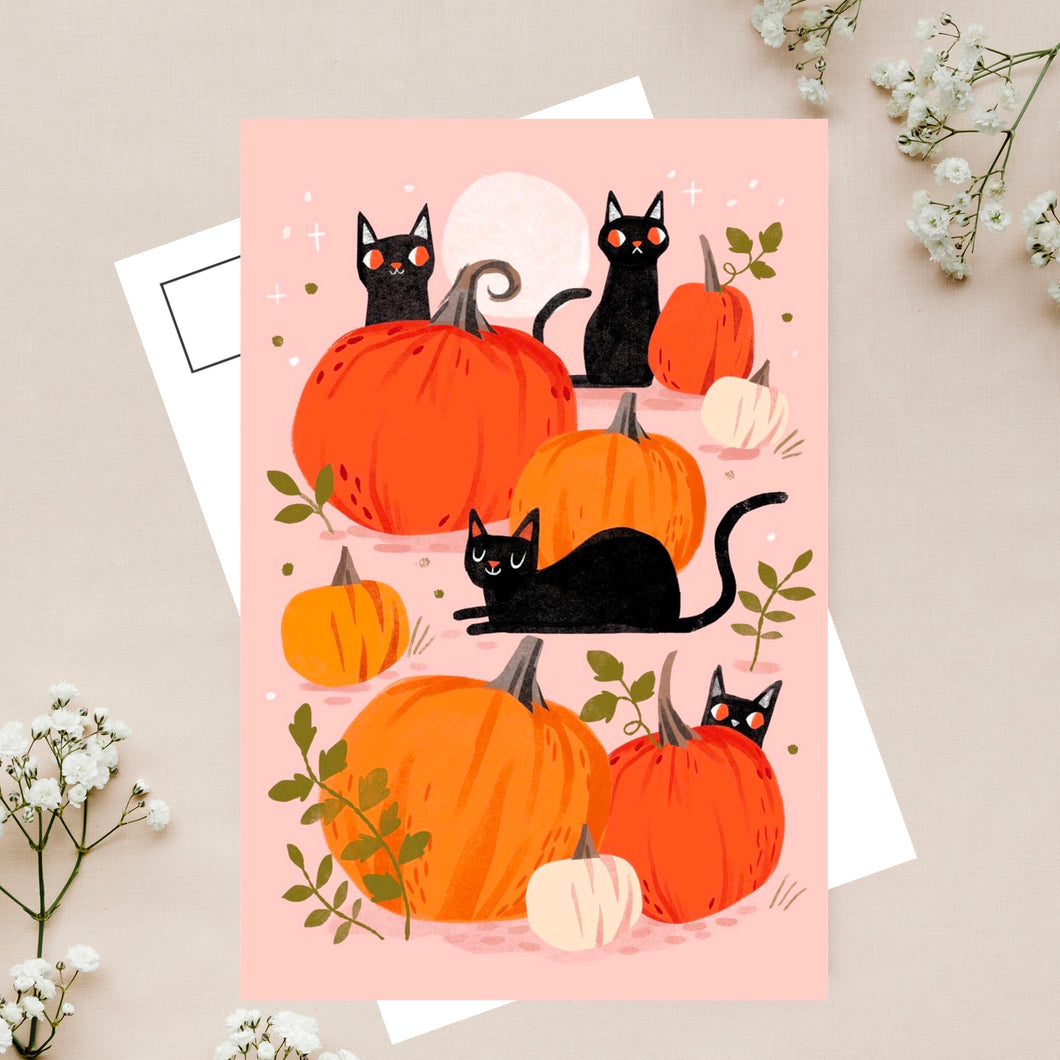 Halloween cat postcard