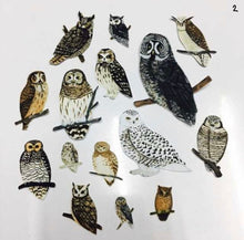 Load image into Gallery viewer, Owl sticker
